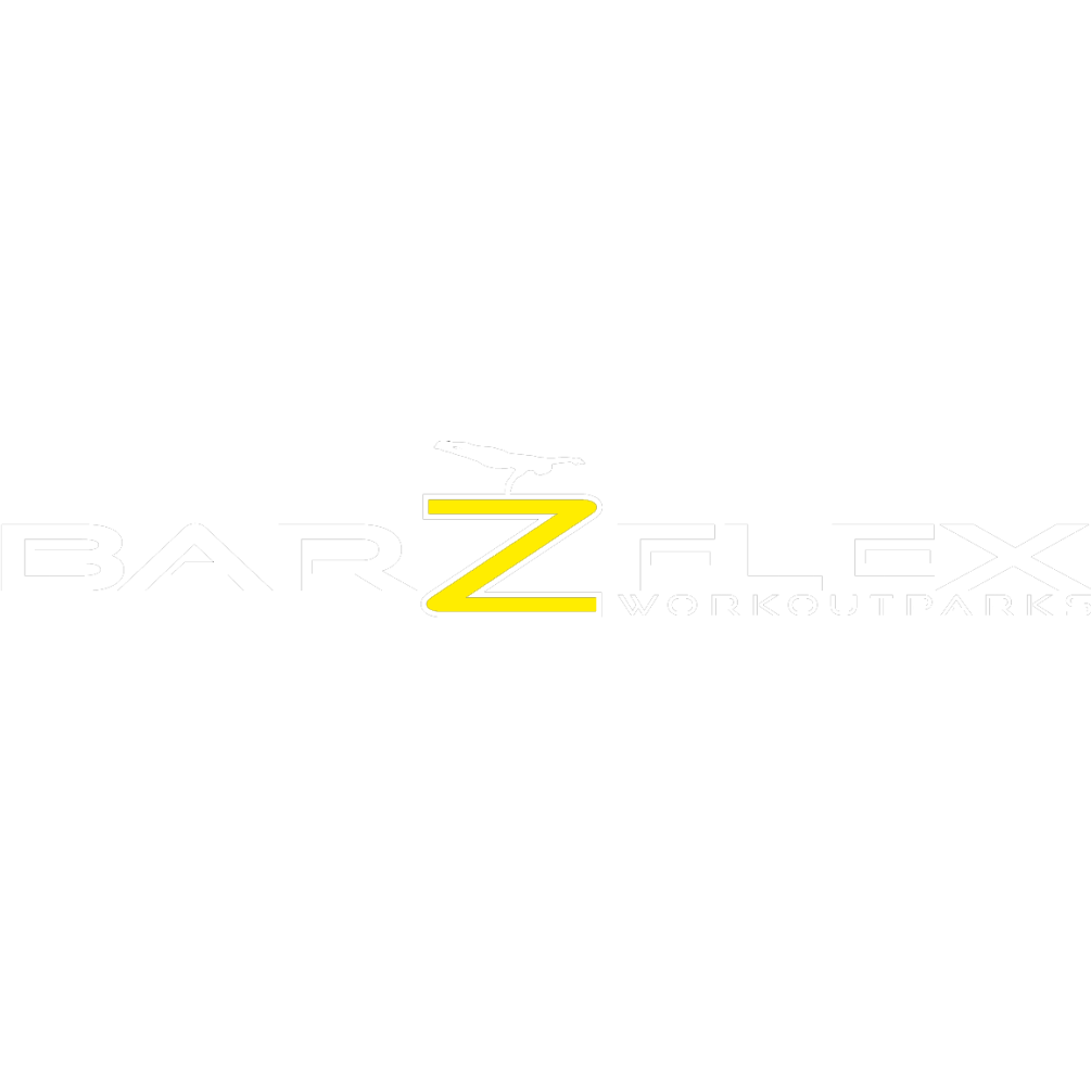 barzflex_logo